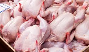 قیمت مرغ در بوشهر به زیر ۱۰ هزار تومان برمی‌گردد