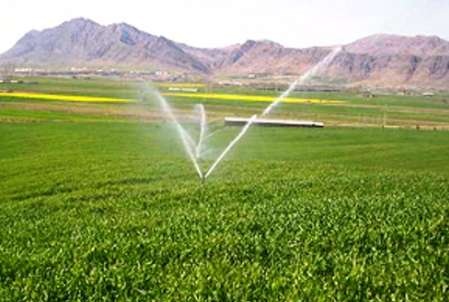 ۱۰ هزار هکتار اراضی استان به آبیاری نوین مجهز می‌شود