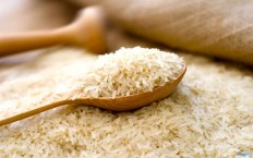 واردات ۶۶۳ میلیون دلاری برنج در سه ماه