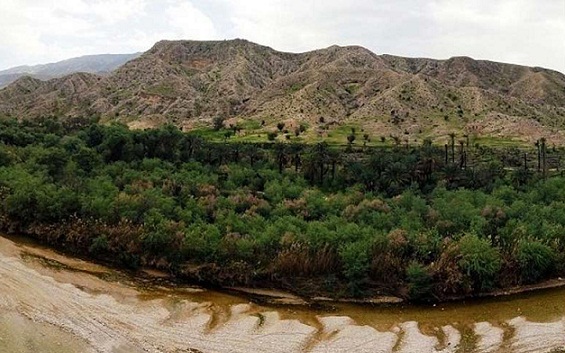 جنگل، مهره اساسی نجات از تغییرات اقلیمی جنگل، مهره اساسی نجات از تغییرات اقلیمی