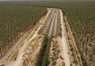 تاکنون طرح نوین آبیاری در بیش از ۵ هزار هکتار از نخلستانهای دشتستان اجرا شده است.