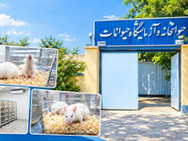 گامی در توسعه زیرساخت‌های پژوهش‌های علوم پزشکی