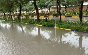 میزان بارش در استان بوشهر به حدود 70mm رسید‌