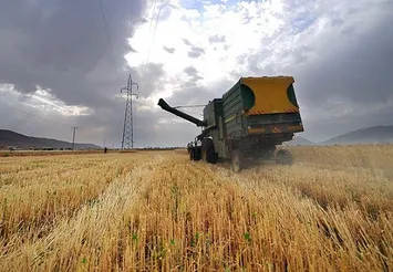 آسمان نبارید، زحمت کشاورزان بر باد رفت!