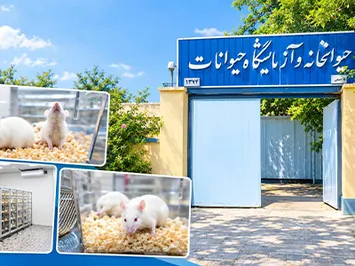 گامی در توسعه زیرساخت‌های پژوهش‌های علوم پزشکی