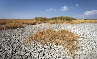 ۴۰۰ هزار چاه عمیق، مرگ تالاب‌ها را رقم می‌زند