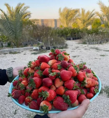 محققان بوشهری عنوان مقاله برتر را دریافت کردند