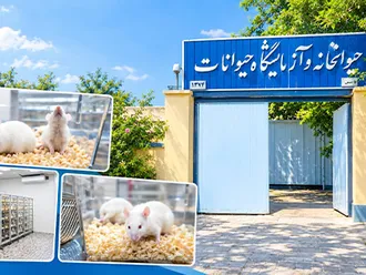 گامی در توسعه زیرساخت‌های پژوهش‌های علوم پزشکی