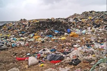 تولید زباله در بوشهر 2 برابر استاندارد جهانی است