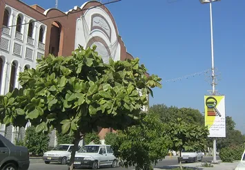 وقتی که پست معاونت سیاسی تعارف می‌شود